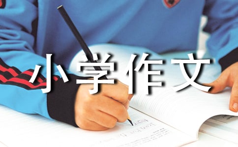 关于盲人的小学作文(精选37篇)