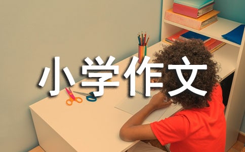 我学会了扫地小学作文(精选25篇)