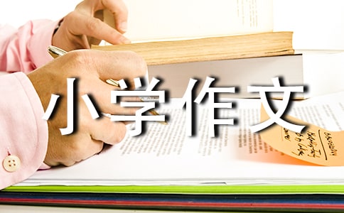 我的寒假生活小学作文500字(精选39篇)