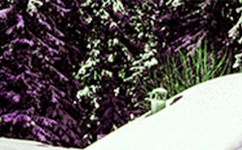 描写小雪的优美句子(精选440句)