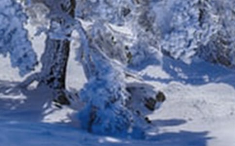 今日小雪祝福语(精选220句)