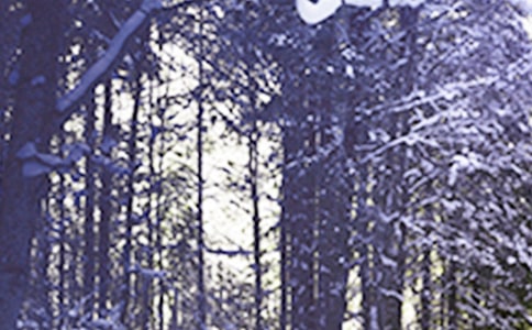 幼儿园大班音乐律动教案《小雪花》(通用6篇)