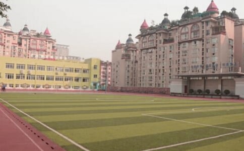 自愿放弃校园保险承诺书(通用13篇)