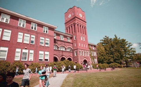 小学校园欺凌自查报告(精选9篇)