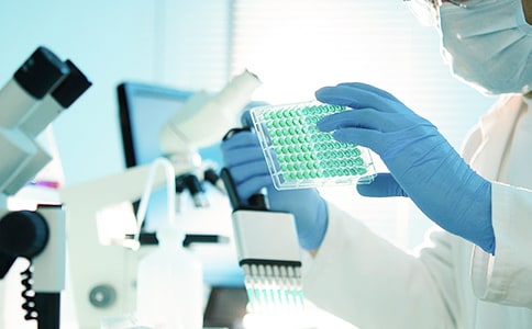 小学课例研究心得体会(精选20篇)