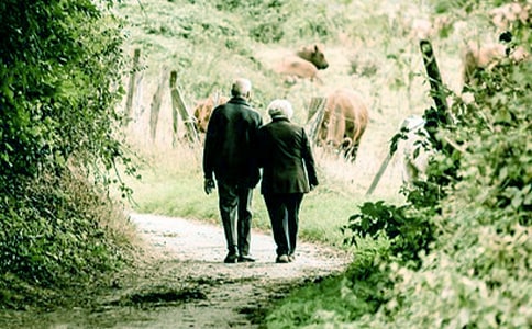 我的爷爷作文(精选42篇)