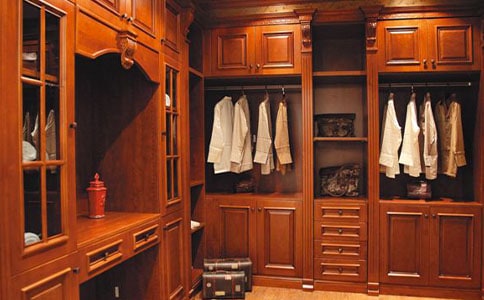 神奇的衣柜作文500字