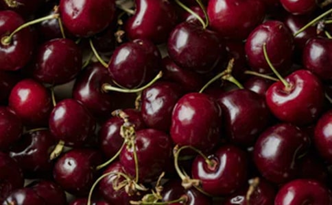 摘樱桃学生作文(通用51篇)