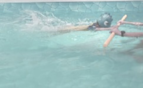 游泳初体验作文(通用92篇)