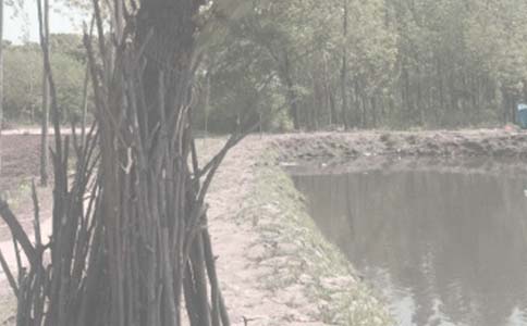 鱼塘转让合同(通用17篇)