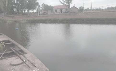 承包鱼塘合同书样本(通用10篇)