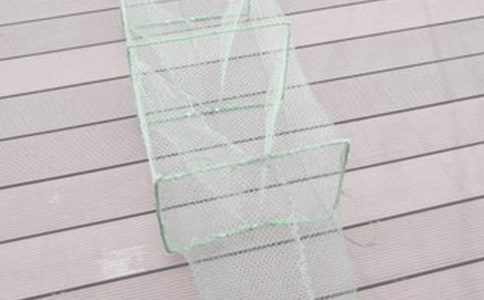 《不一样的渔网》小班美术课教案(通用8篇)