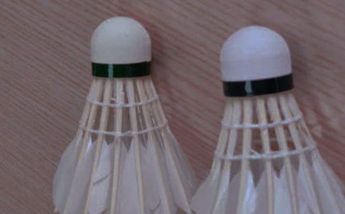 打羽毛球作文(精选35篇)