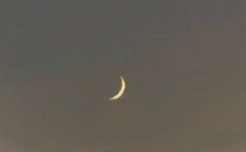 我去月亮上做客作文350字(通用23篇)