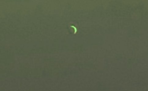 十五月亮的句子