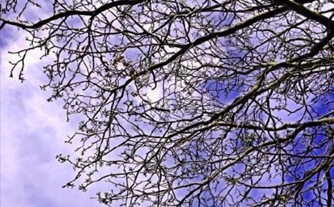 有趣的早安问候语250句