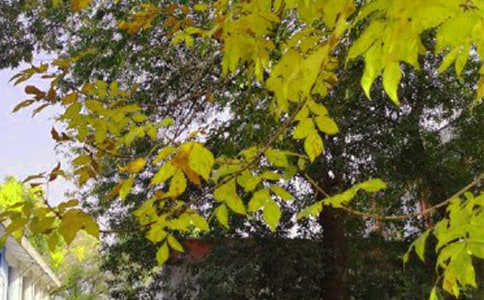 简洁的早安共勉句子短信33句