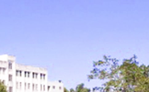 冬至的早安祝福语(精选310句)