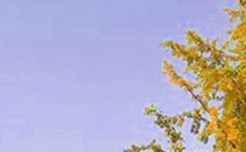 经典霸气早安句子140句