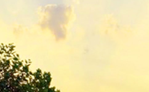 【推荐】早安共勉句子朋友圈67句