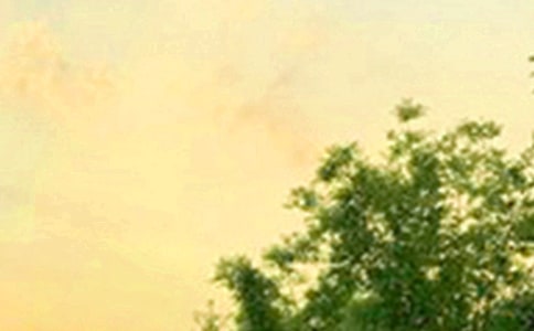 精选早安共勉句子短信26条