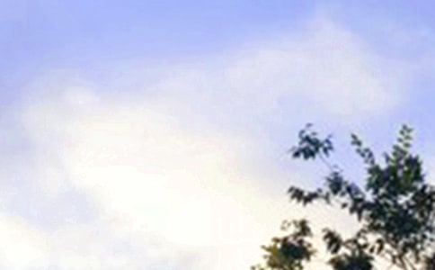 【精华】早安共勉句子25句