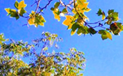 冬天早安问候语