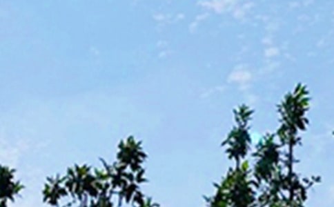 常用早安共勉句子朋友圈160句