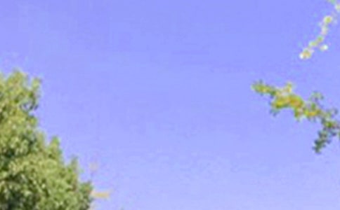 【热门】早安共勉句子微信48句