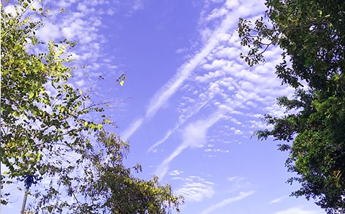 常见温馨早安签名(精选180句)