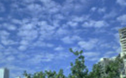 【实用】2024年美好的早安问候语语录170句