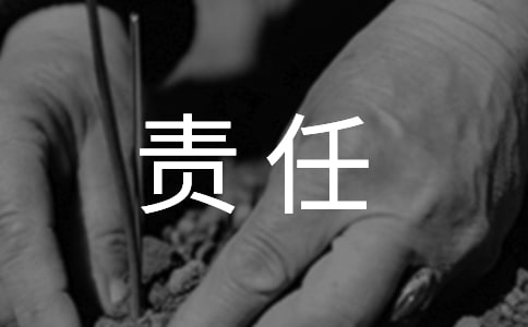 安全生产责任制(精选12篇)