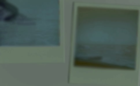 一张老照片作文 (精选36篇)