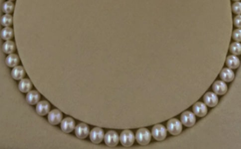 游南京珍珠泉作文