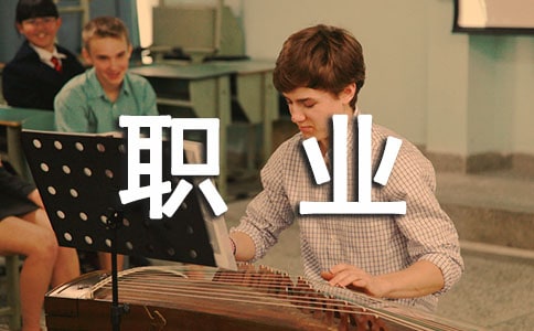 职业素养个人总结(精选10篇)