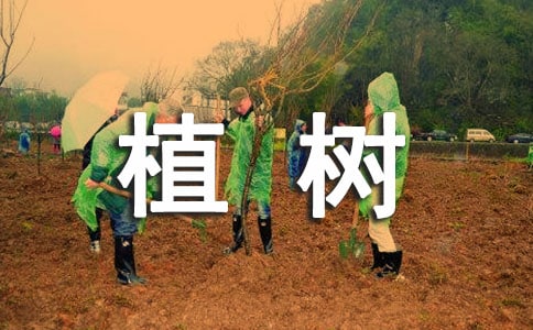 我和植树的小故事作文(通用26篇)