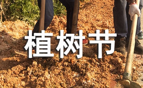 小记者植树节采访活动方案(精选10篇)