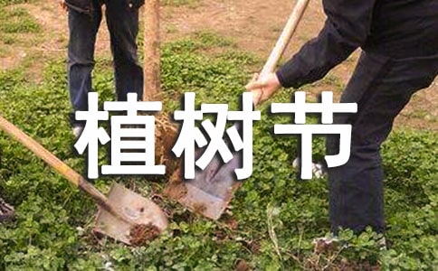 大班植树节美术活动优秀教案(精选15篇)