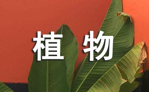 植物的日记(精选26篇)