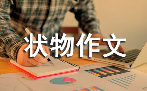 我的心爱之物四年级状物作文500字(精选21篇)