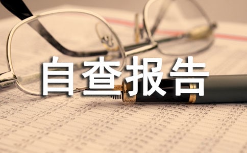 企业外汇自查报告(通用5篇)