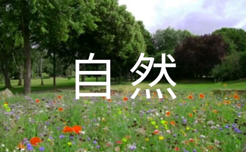 大自然的奥秘作文(精选48篇)