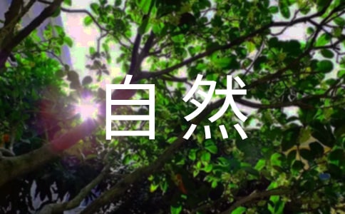 世界自然遗产之巴音布鲁克散文