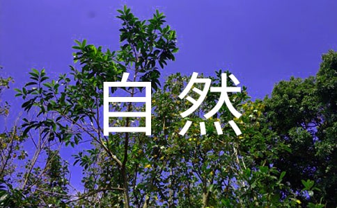 大自然的语言教学反思(精选20篇)