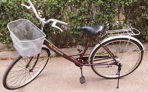 我的心爱之物作文自行车(精选42篇)