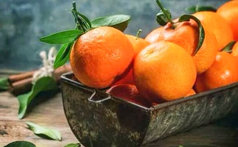 中班科学橘子教案(精选12篇)