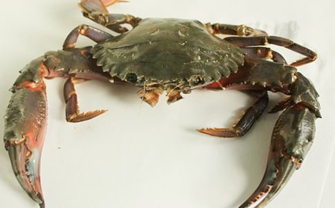 捉螃蟹作文(精选30篇)