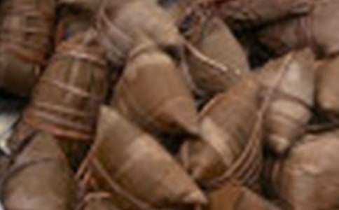 包粽子教案(通用20篇)