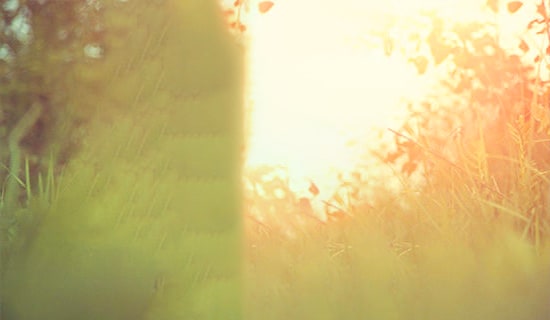 冬至暖人心的唯美简短句子340句