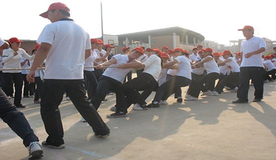 拔河比赛优秀作文(精选48篇)